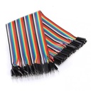 Male to Female Dupont Line 40 Pin 30cm 24AWG