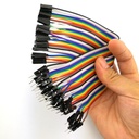 Male to Female Dupont Line 40 pin 20cm