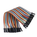 Female to Female Dupont Line 40 Pin 20cm