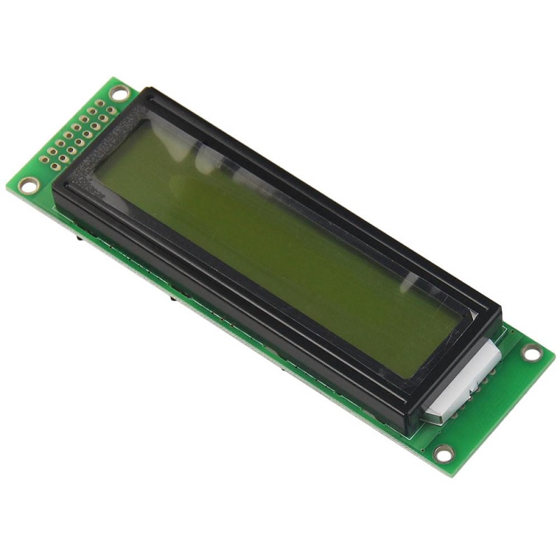 LCD2002 Yellow Green Backlight 5V