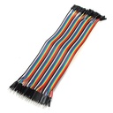 Male to Female Dupont Line 40 Pin 30cm 24AWG